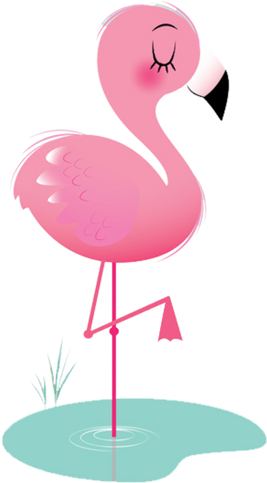 pink baby flamingo cartoon