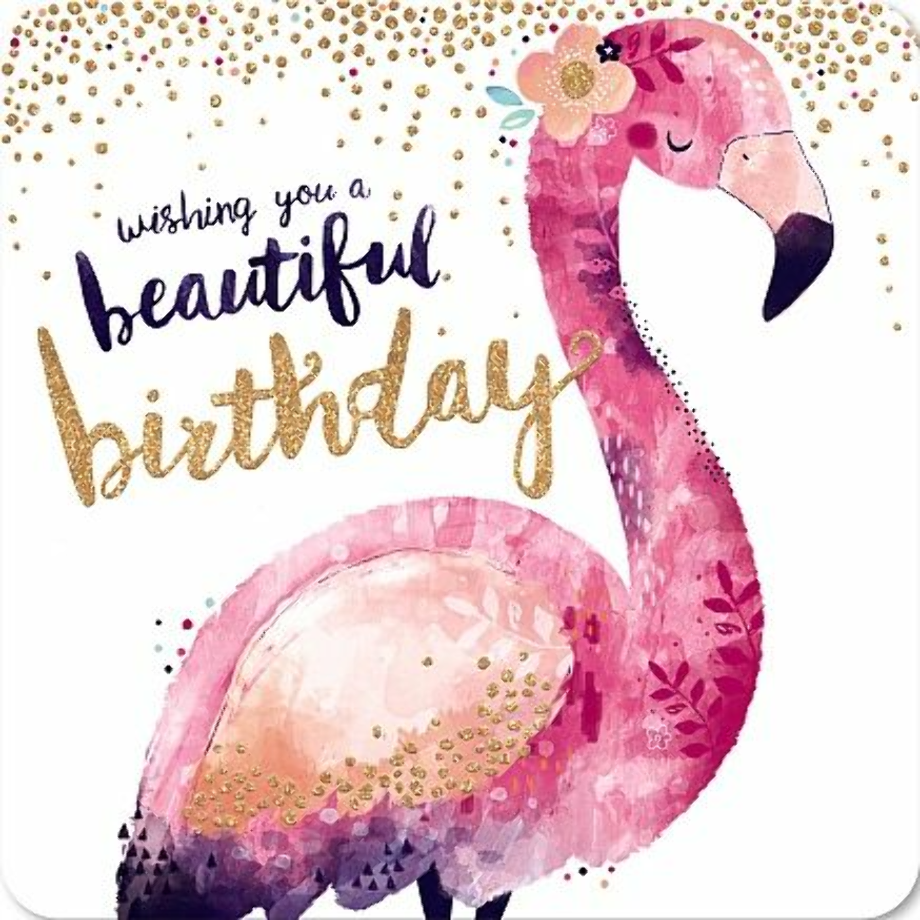 happy birthday flamingo images