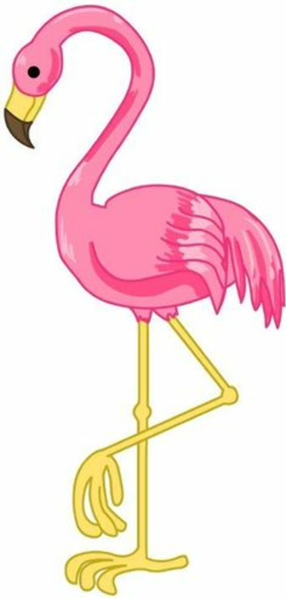 download-high-quality-flamingo-clip-art-large-transparent-png-images