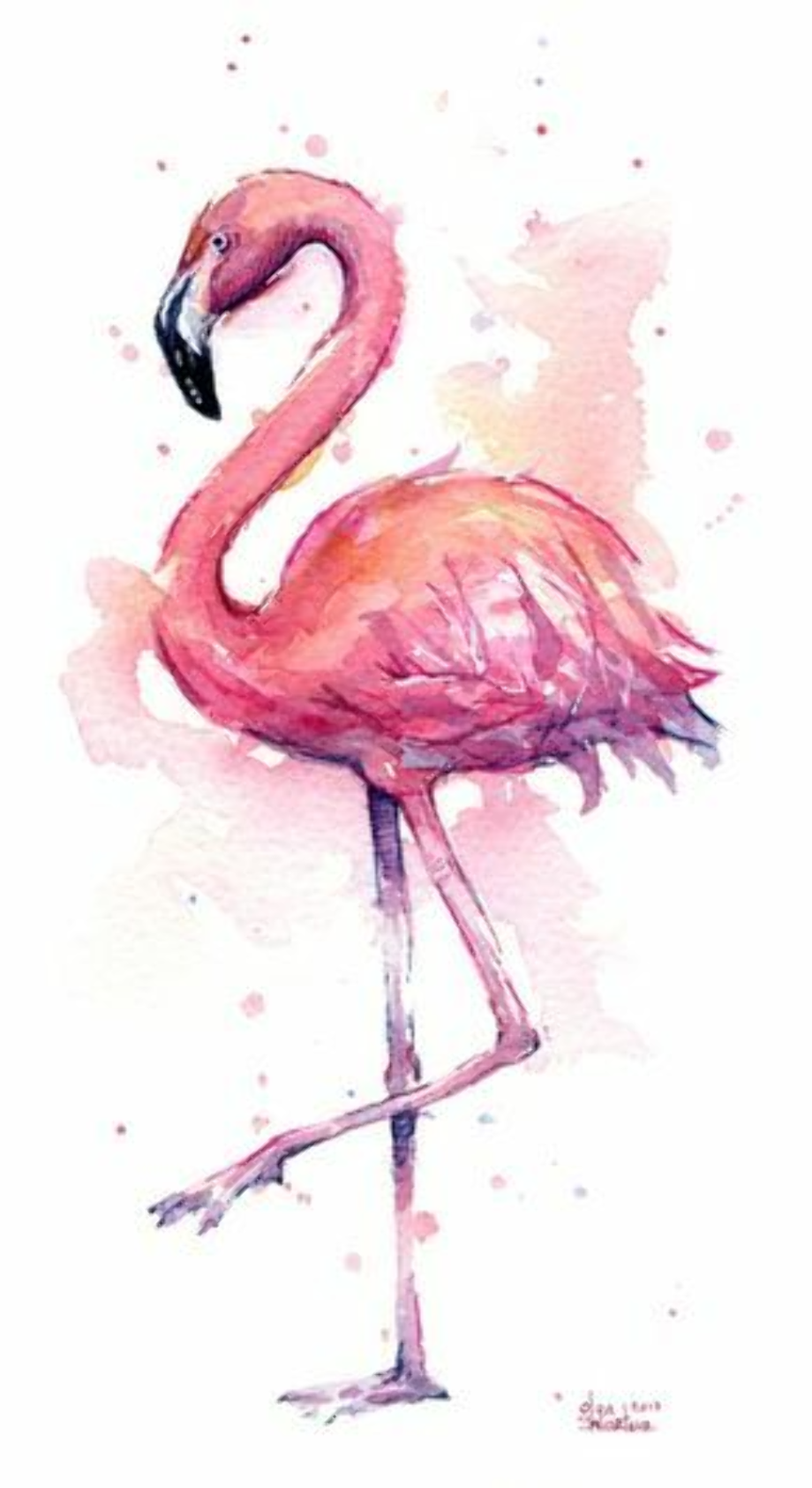 free transparent flamingo clipart