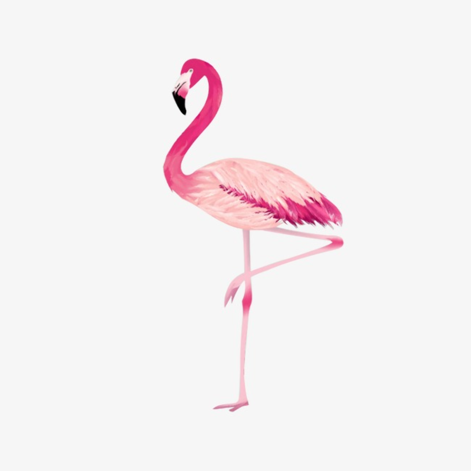 Download High Quality flamingo clipart clear background Transparent PNG
