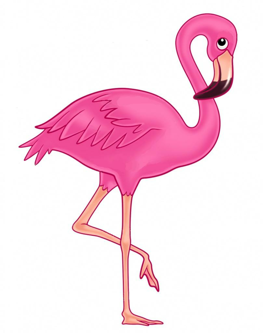 pink flamingo clipart vectored image