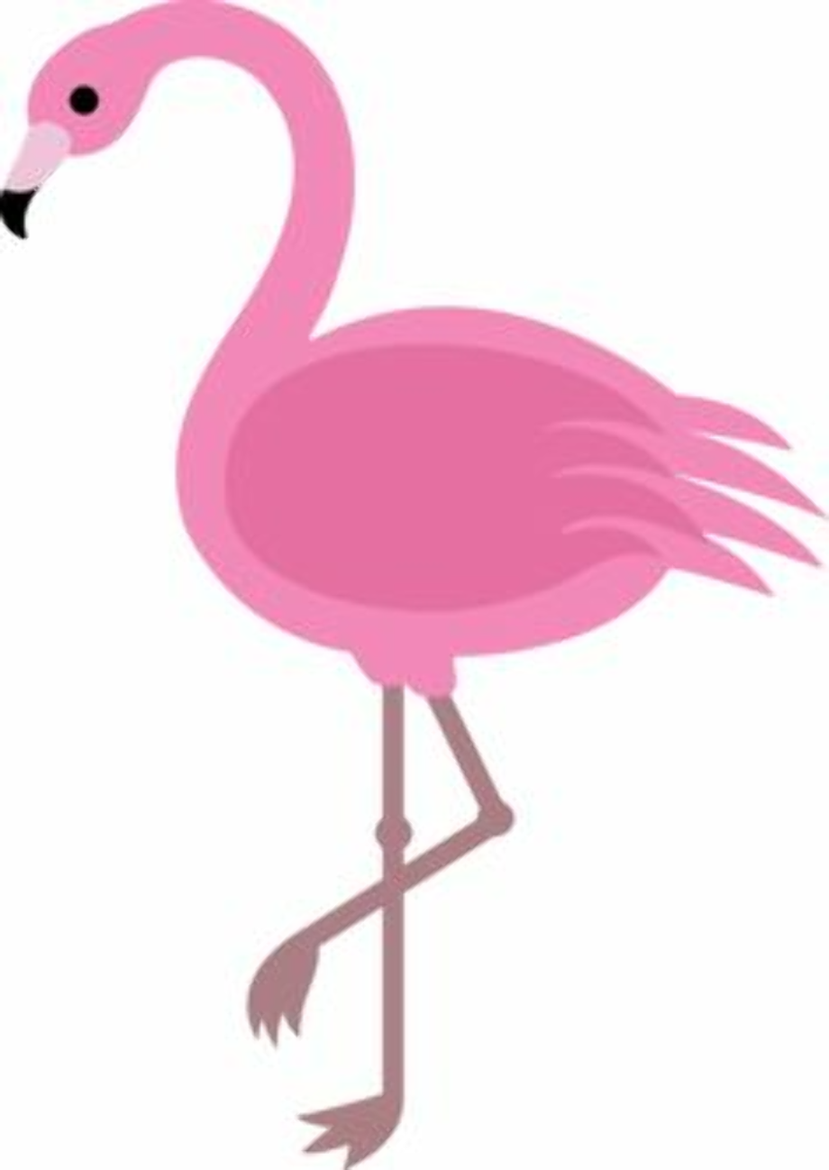 flamingo clip art whimsical