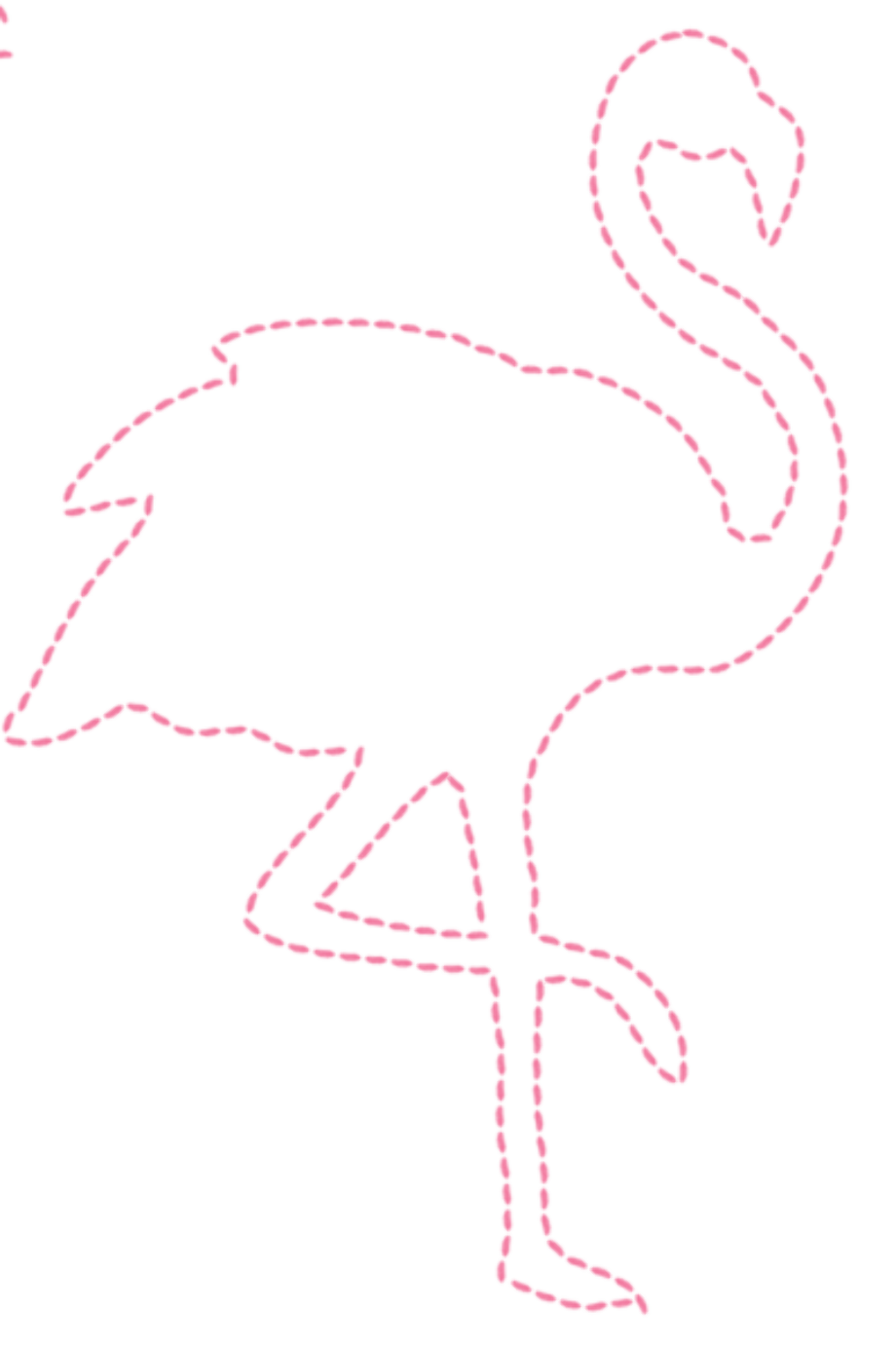 Download High Quality flamingo clipart outline Transparent PNG Images Art Prim clip arts 2019