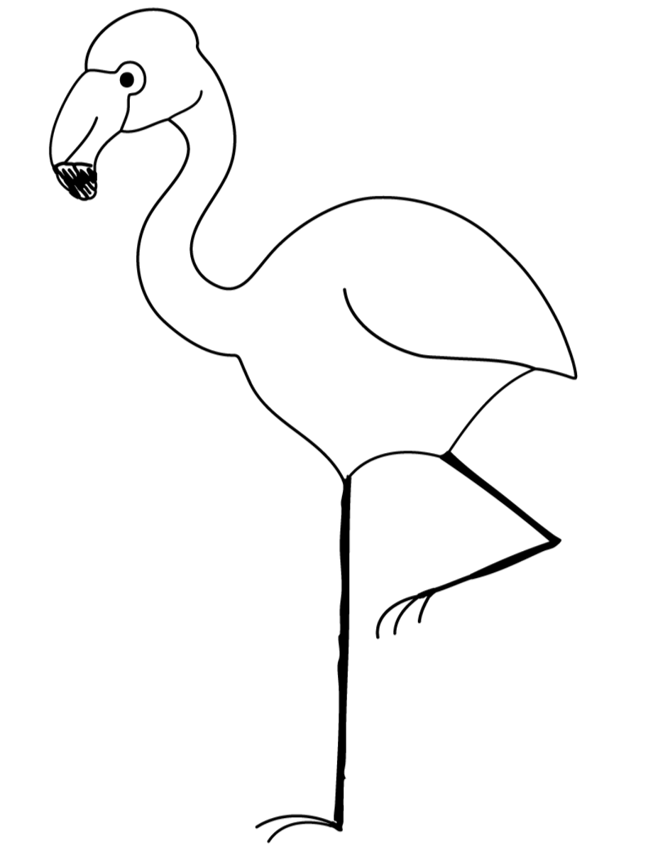 flamingo clipart coloring