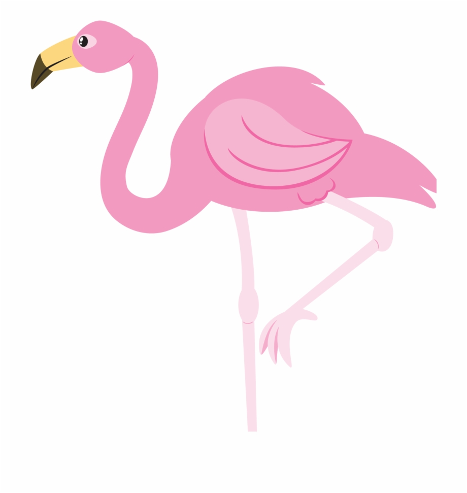 Flamingo clear background
