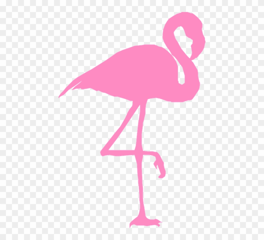 flamingo clip art transparent background