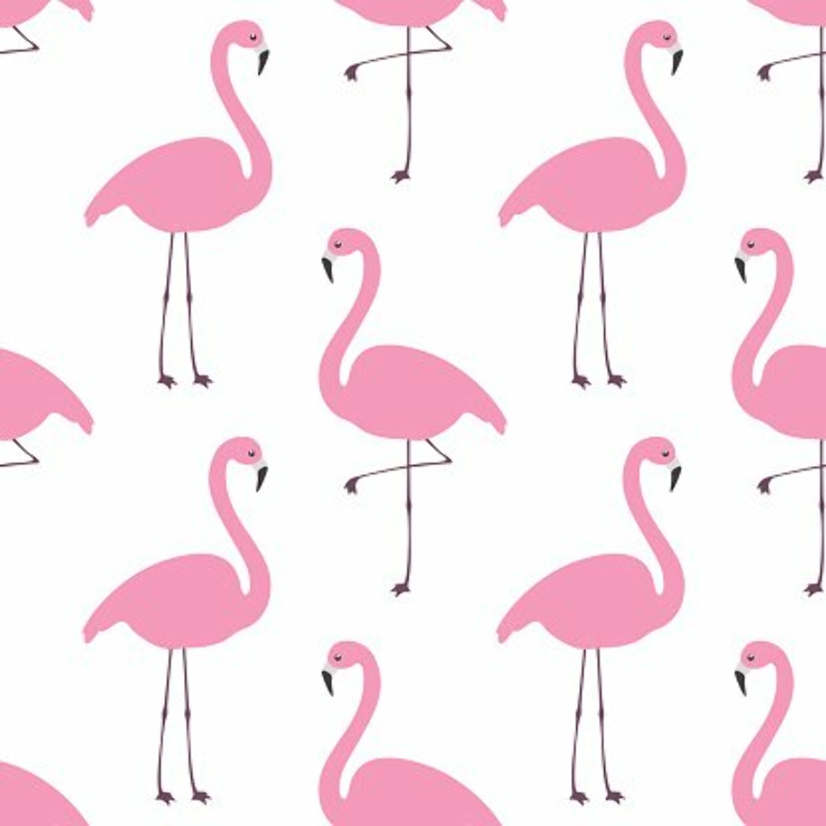 flamingo clipart wallpaper