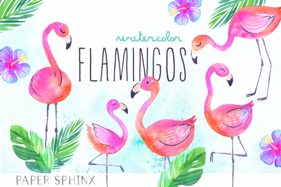 flamingo clip art tropical