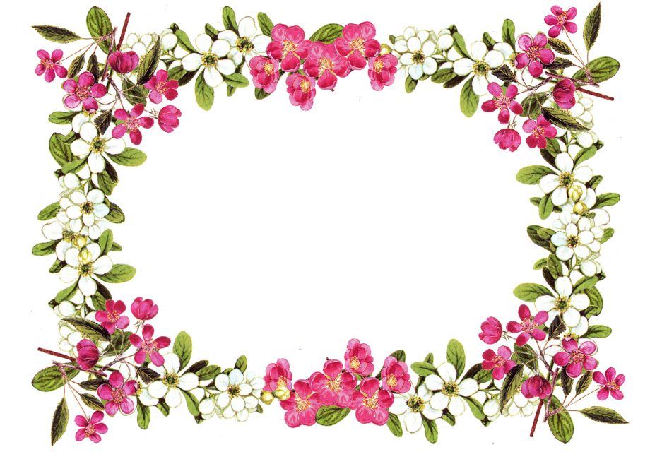frame clipart flower