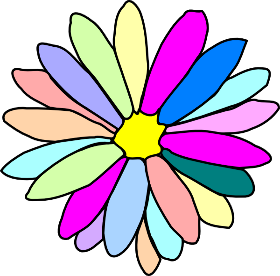 Flower clipart colorful