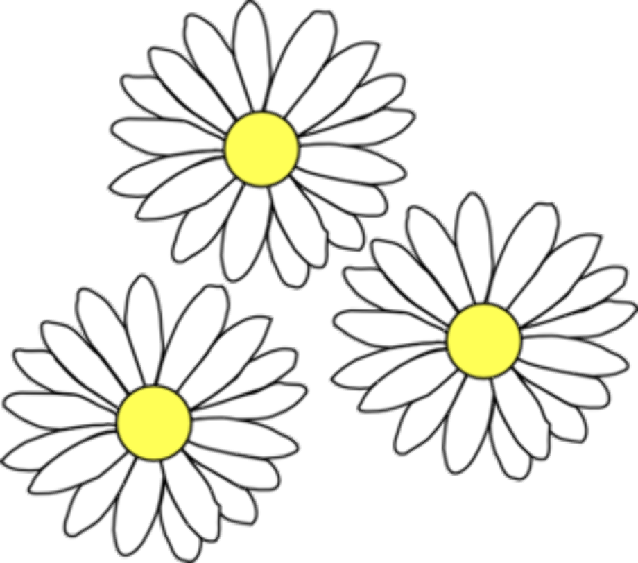 clipart flowers daisy