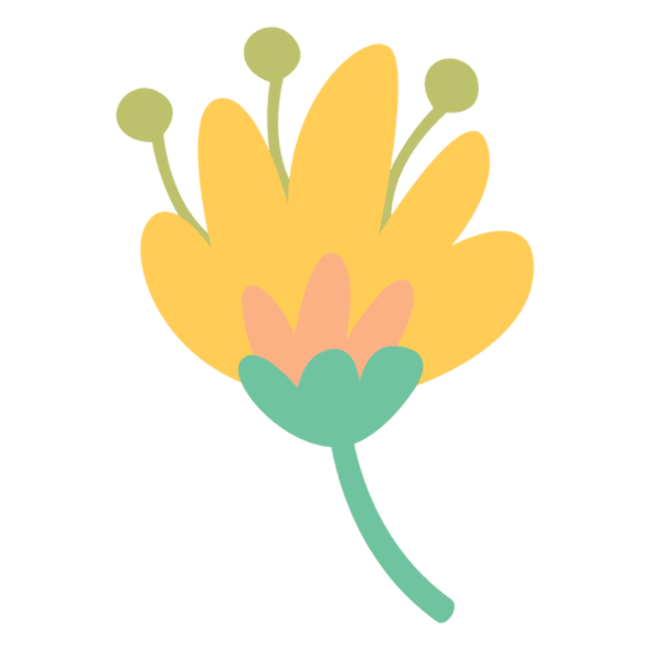 flower transparent doodle