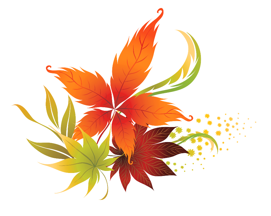 fall leaves clipart clear background