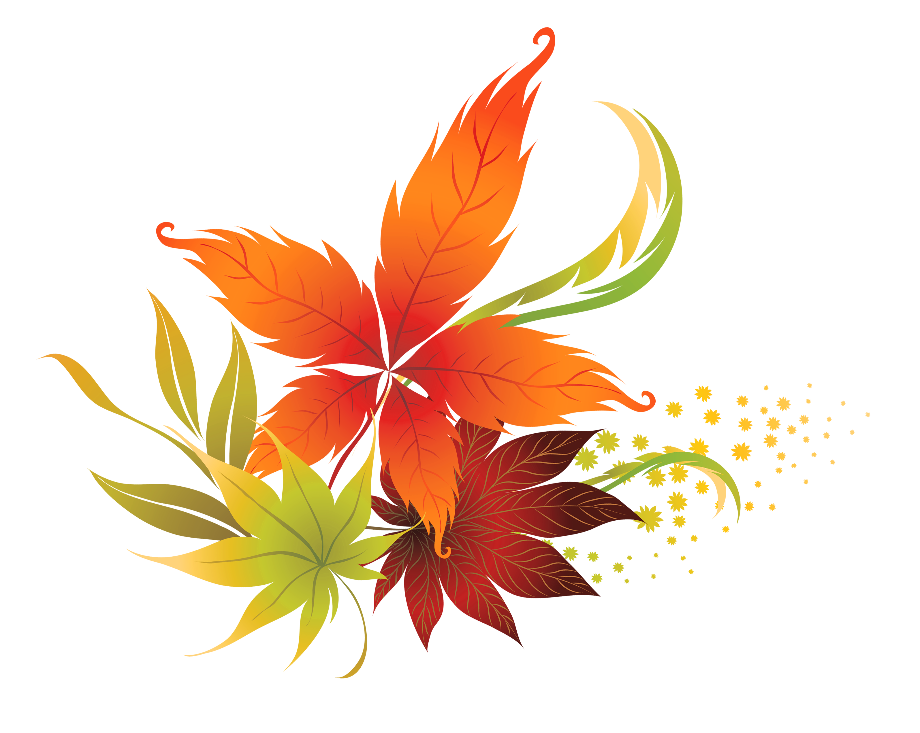 leaf clipart transparent background