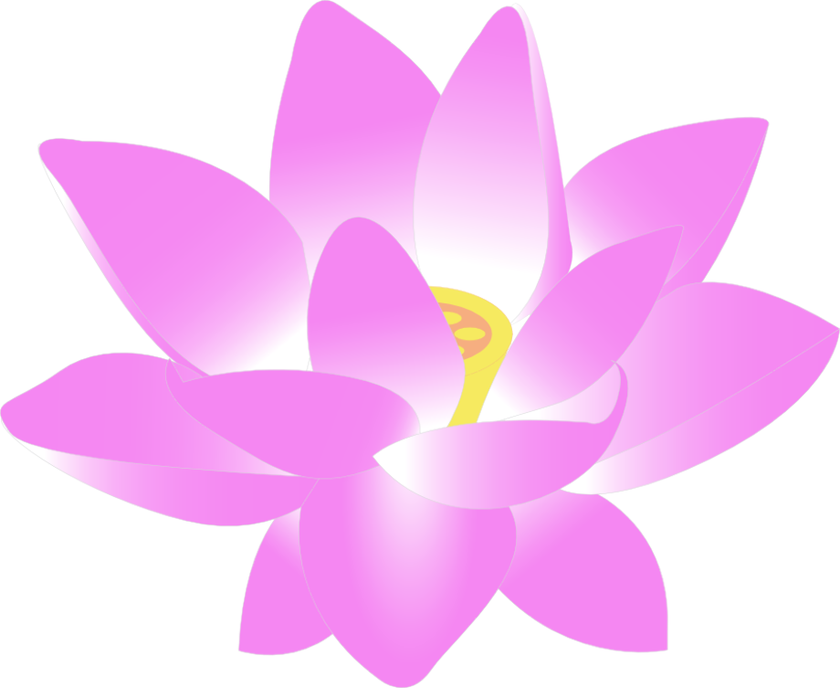 Download High Quality Flower clipart lotus Transparent PNG
