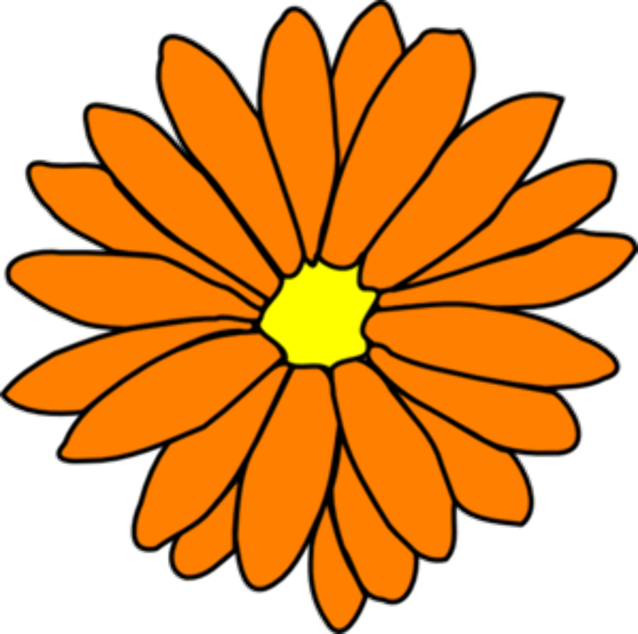 Flower clipart orange