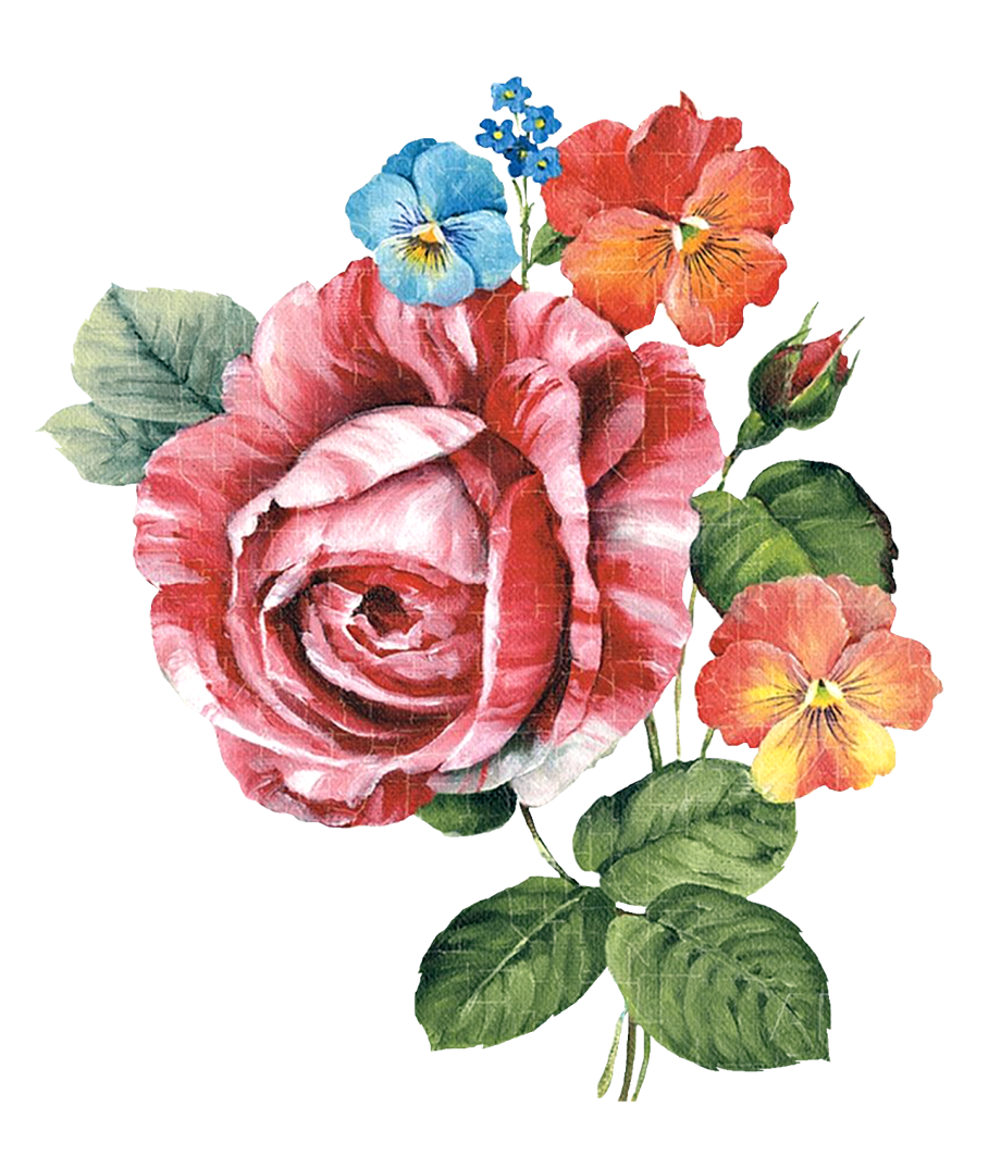 Download High Quality Flower clipart painted Transparent PNG Images ...