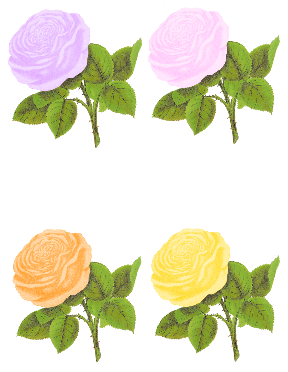 Download High Quality Flower clipart pastel Transparent PNG Images