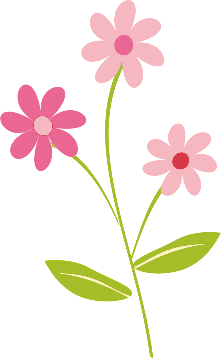 flower transparent cartoon