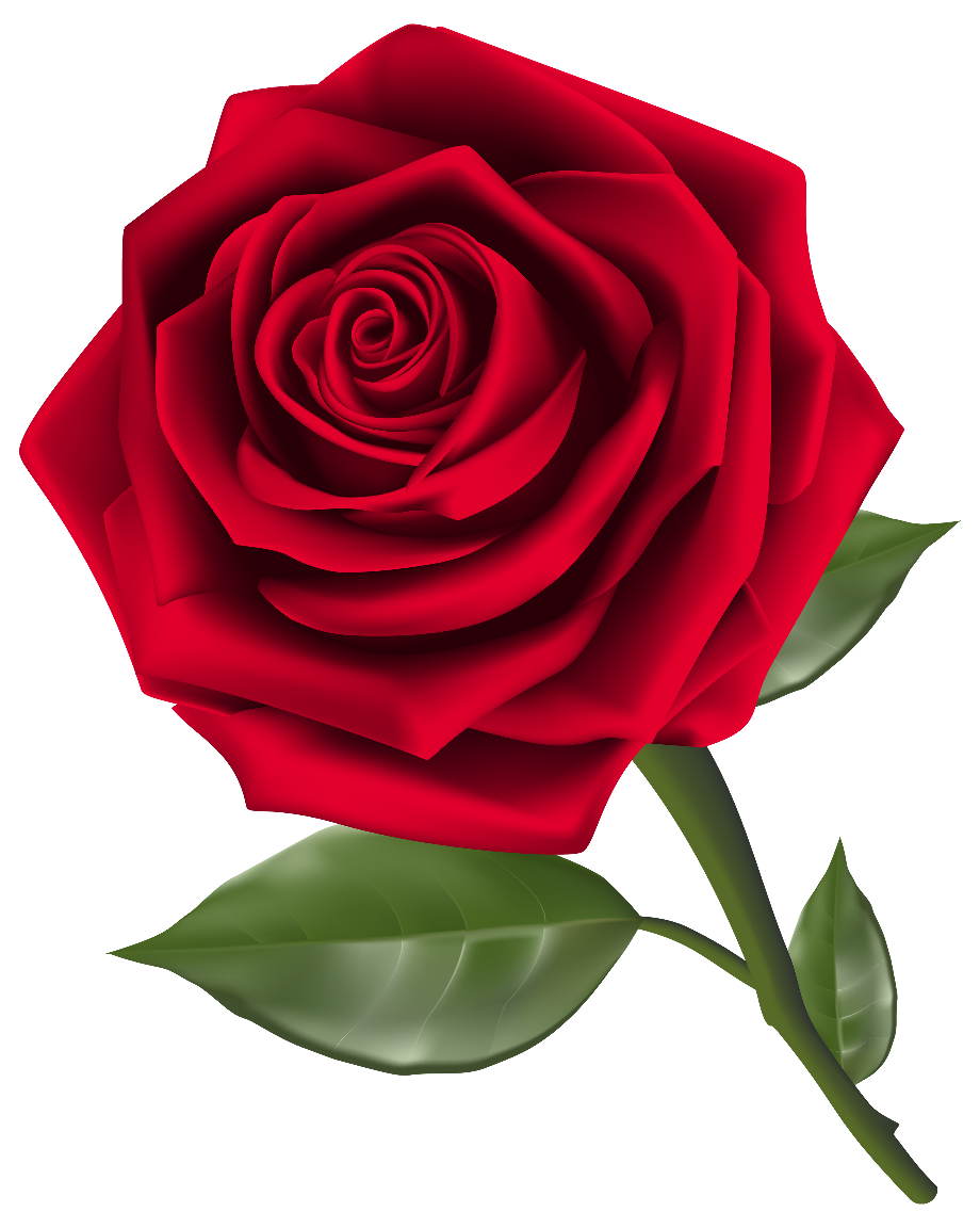 roses clipart red