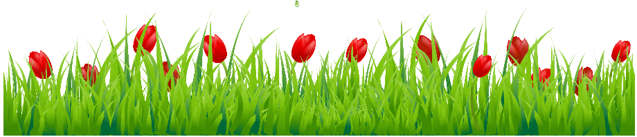 Download High Quality Flower clipart row Transparent PNG Images - Art