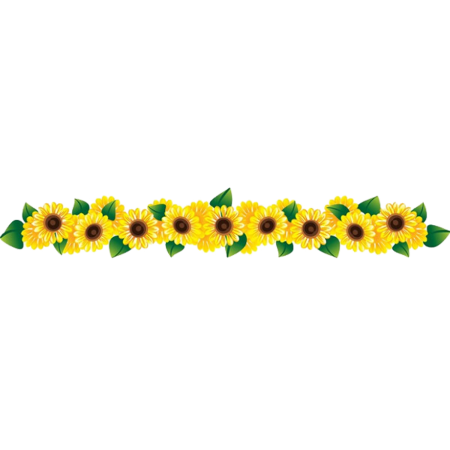 Free Free 145 Clipart Transparent Sunflower Border Png SVG PNG EPS DXF File