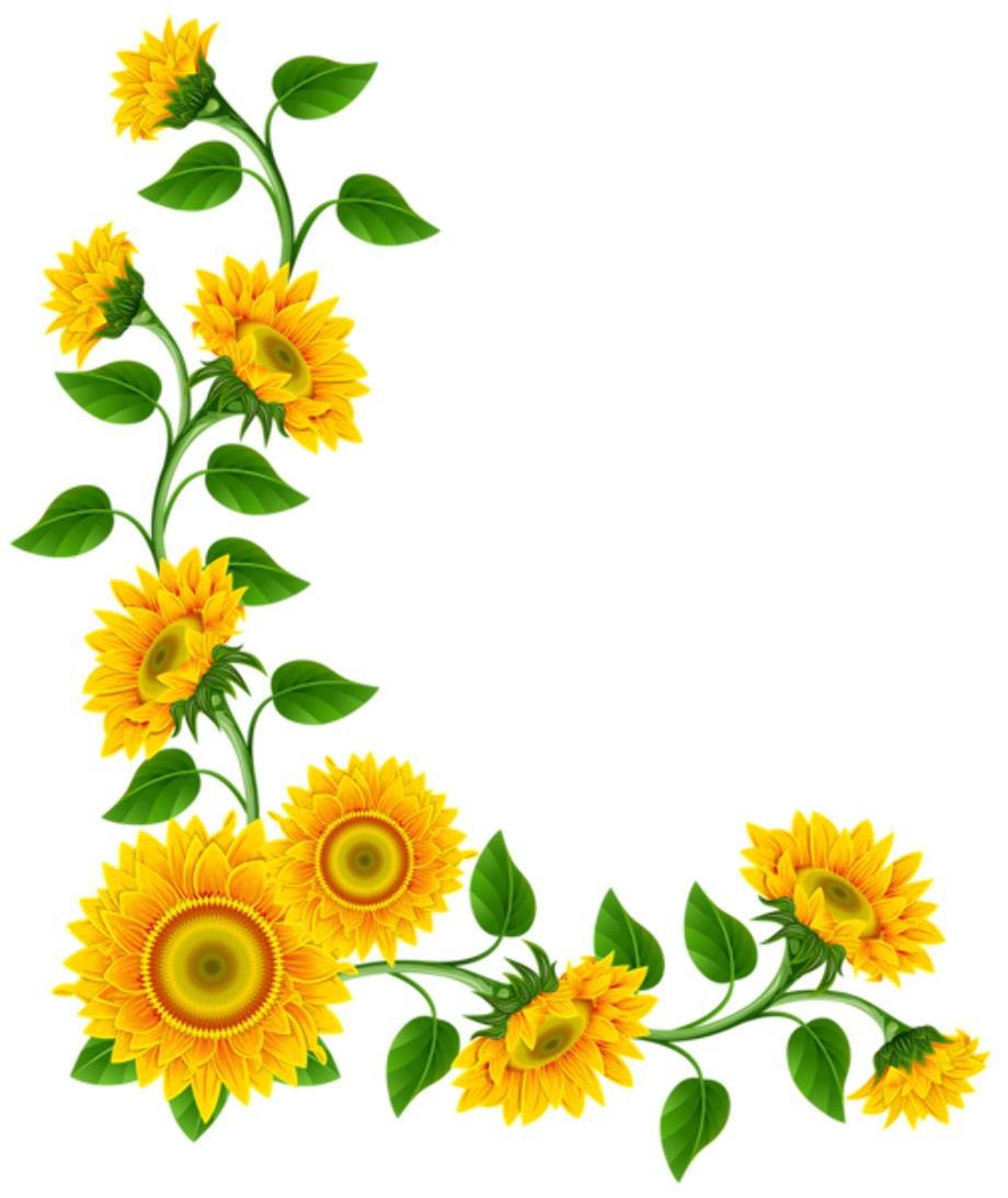 sunflower clipart border