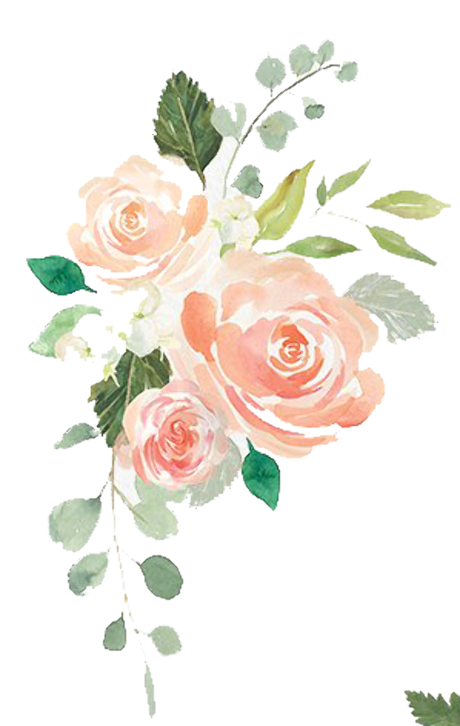 Download High Quality Flower clipart rustic floral Transparent PNG