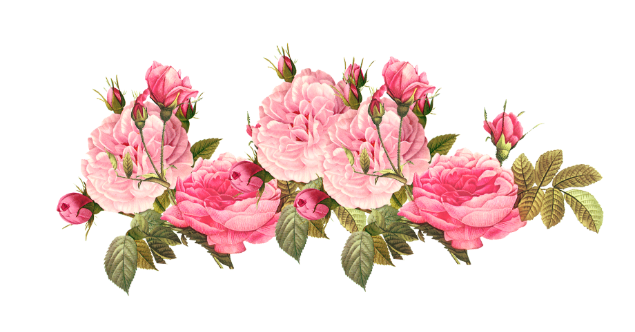 Download High Quality Flower clipart rose gold Transparent PNG Images