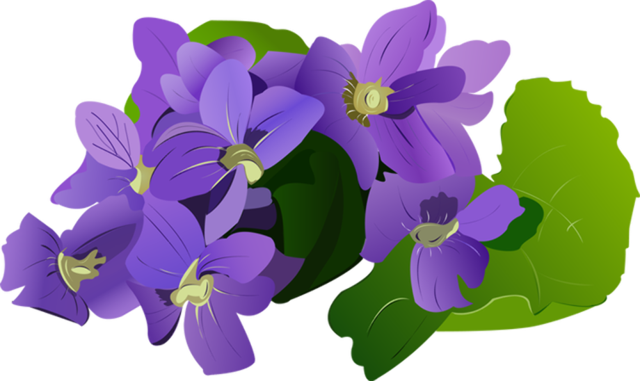 Download High Quality Flower clipart wisteria Transparent PNG Images