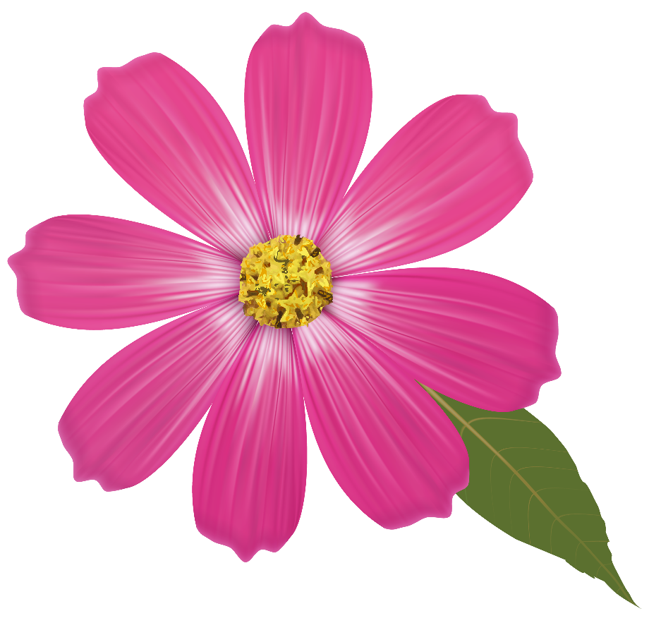 Flower clipart single