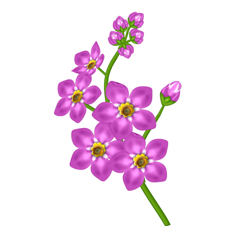 clipart flower transparent background