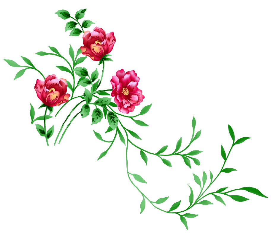 Flower clipart transparent