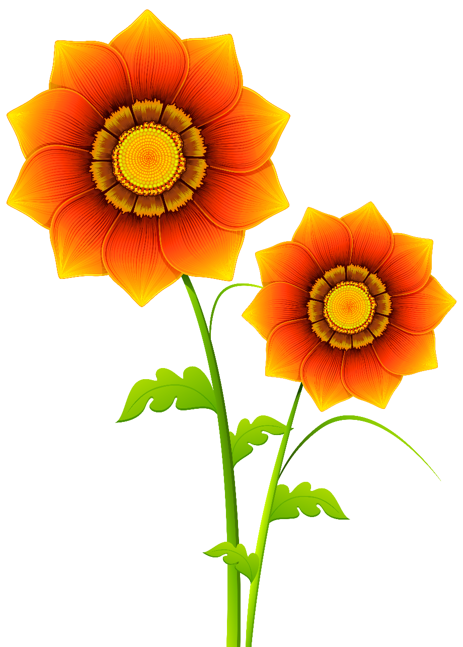 Flower clipart transparent