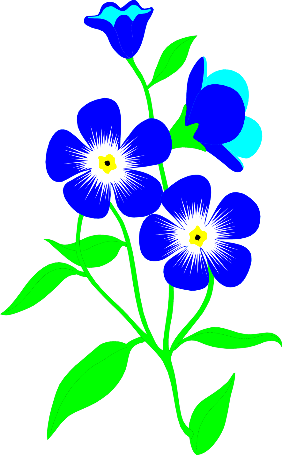 Flower clipart transparent background