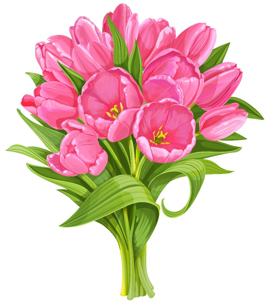 Download High Quality Flower clipart white background Transparent PNG