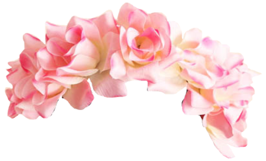 flower crown transparent pink