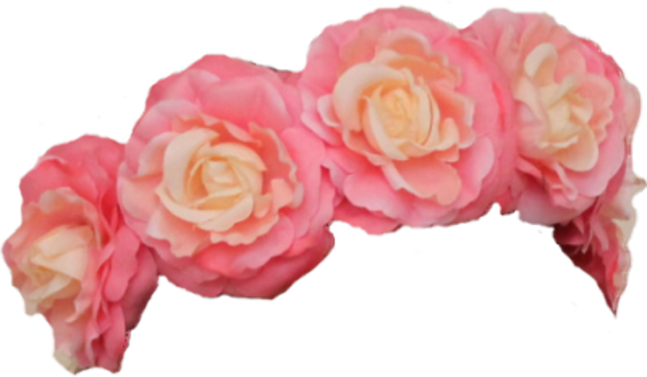 flower crown png png