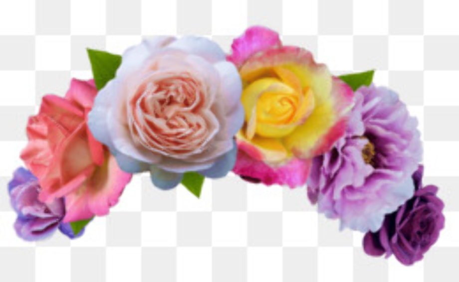 flower crown transparent rainbow