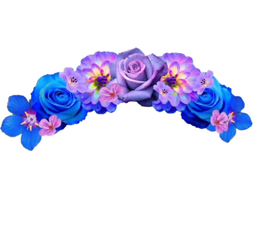 Download High Quality transparent flower crown snapchat Transparent PNG