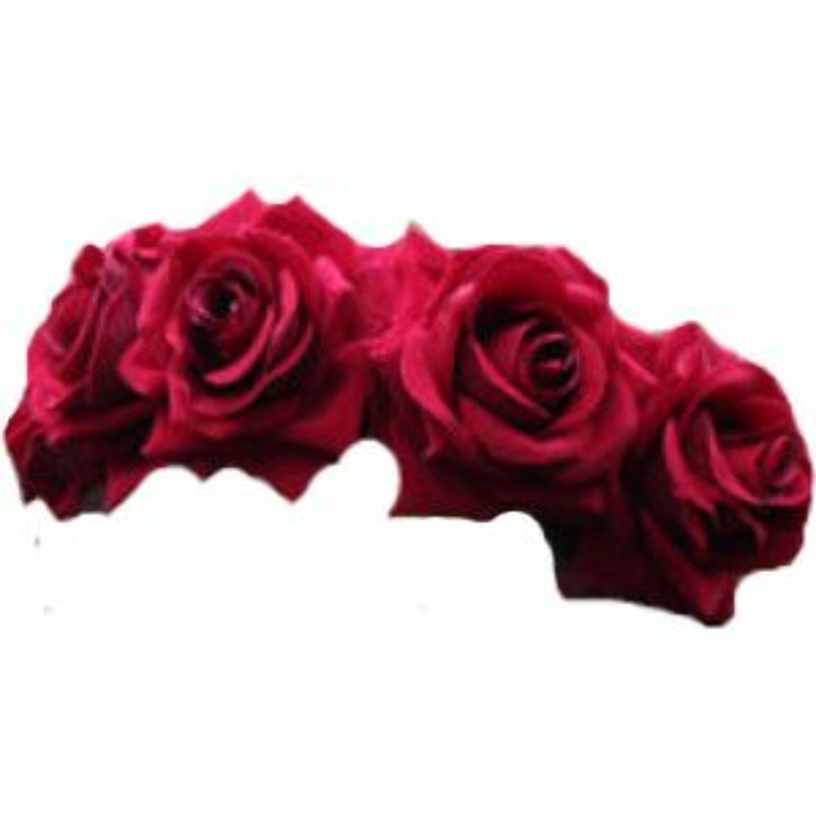 Download High Quality flower crown transparent maroon Transparent PNG