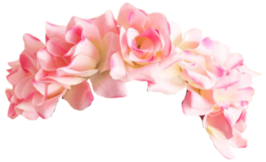 Download High Quality transparent flower crown snapchat Transparent PNG