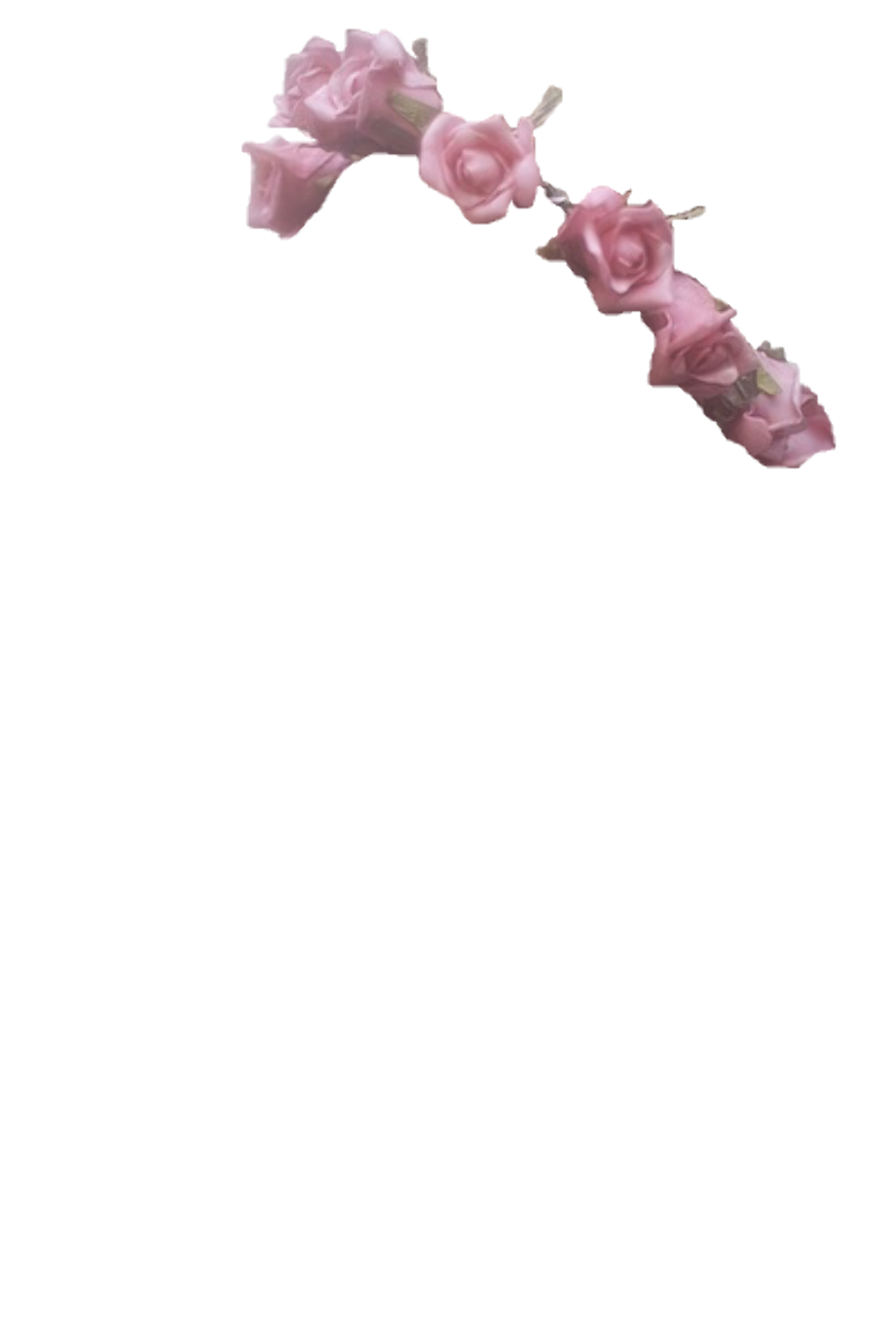 flower crown transparent small