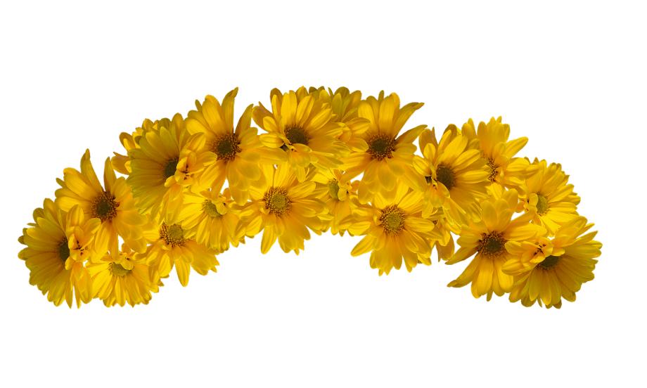 Download High Quality transparent flower crown yellow Transparent PNG