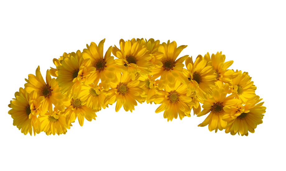 Download High Quality transparent flower crown yellow Transparent PNG Images - Art Prim clip