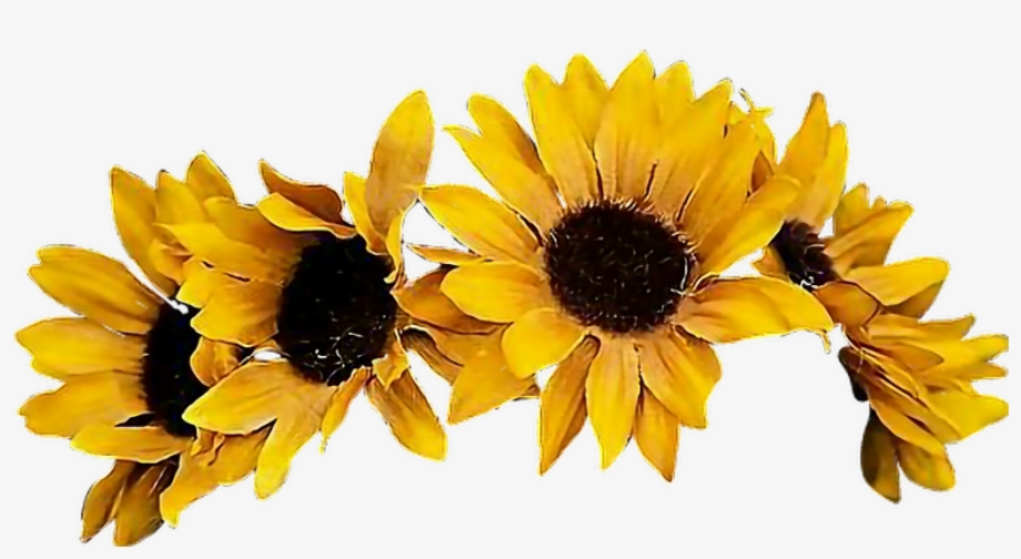 transparent flower crown yellow