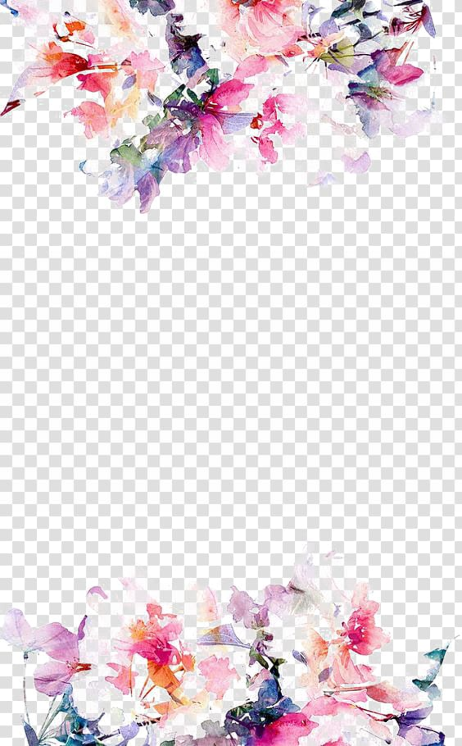 flowers transparent background border