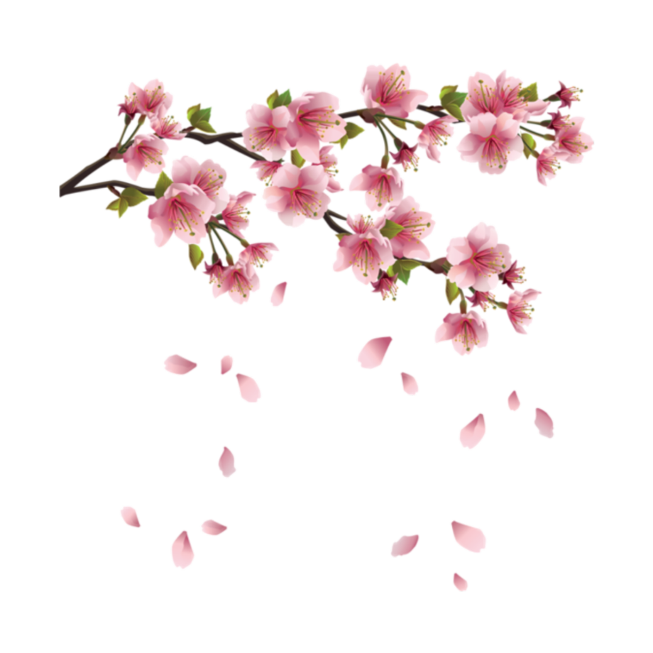 Download High Quality flower transparent kawaii Transparent PNG Images