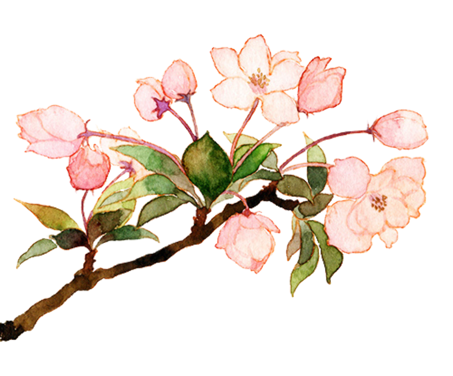 Download High Quality flower transparent kawaii Transparent PNG Images